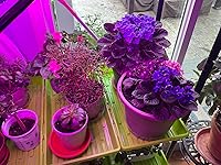 Review Image by I. Mondal I. Mondal