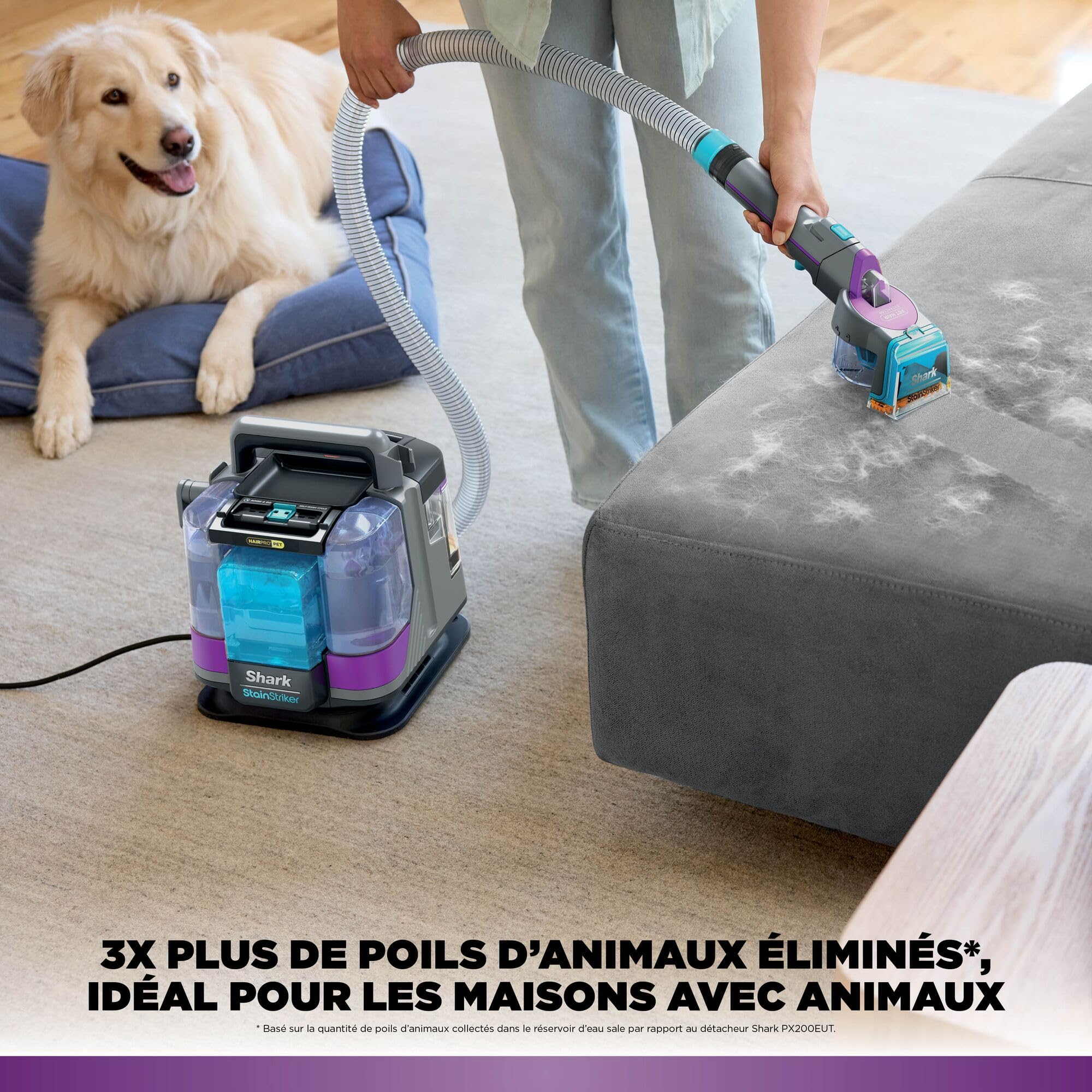 Shark StainStriker HairPro spécial animaux, Aspiration 450 W, Extracteur de poils, Élimine taches et odeurs, Léger et portable, Inclus : 4 accessoires et 2 formules de nettoyage PX250EUT