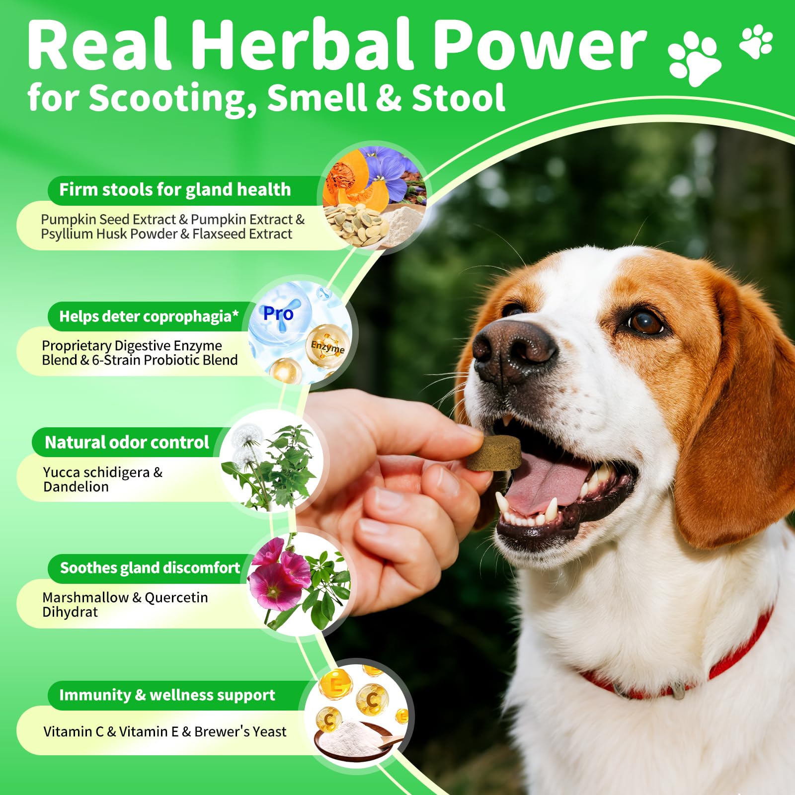 POPPAW Dog Probiotics & Digestive Enzymes – Pumpkin Fiber Chews for Gut Health, Diarrhea & Upset Stomach Relief, Gas & Stool Support, Beef Flavor Soft Chews – 90 Count - image 4