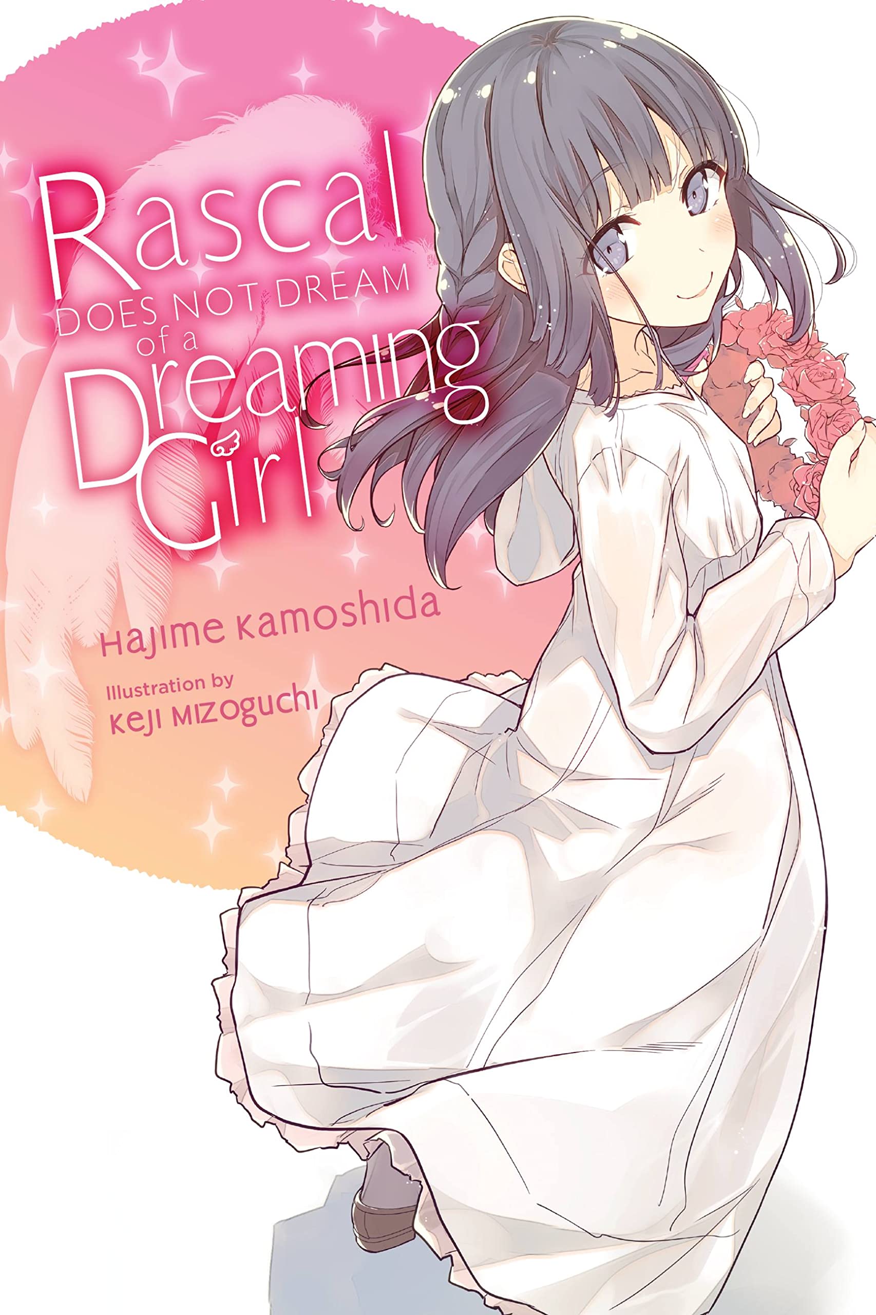 Yen Press Rascal Does Not Dream of a Dreaming Girl (light novel)