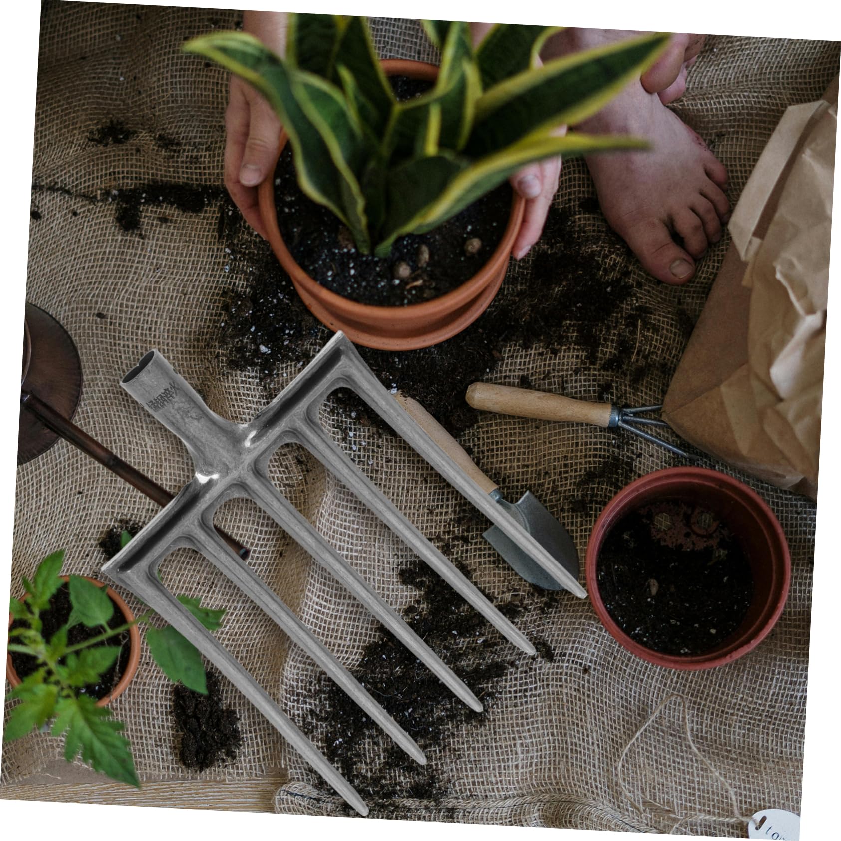 SOIMISS Forca Agricola in Acciaio a 5 Denti Per Giardinaggio e Preparazione Terreno, Testa Di Ricambio Robusta Per Allentare e Rivoltare Suolo, Utensile Manuale Per Orto e Azienda Agricola