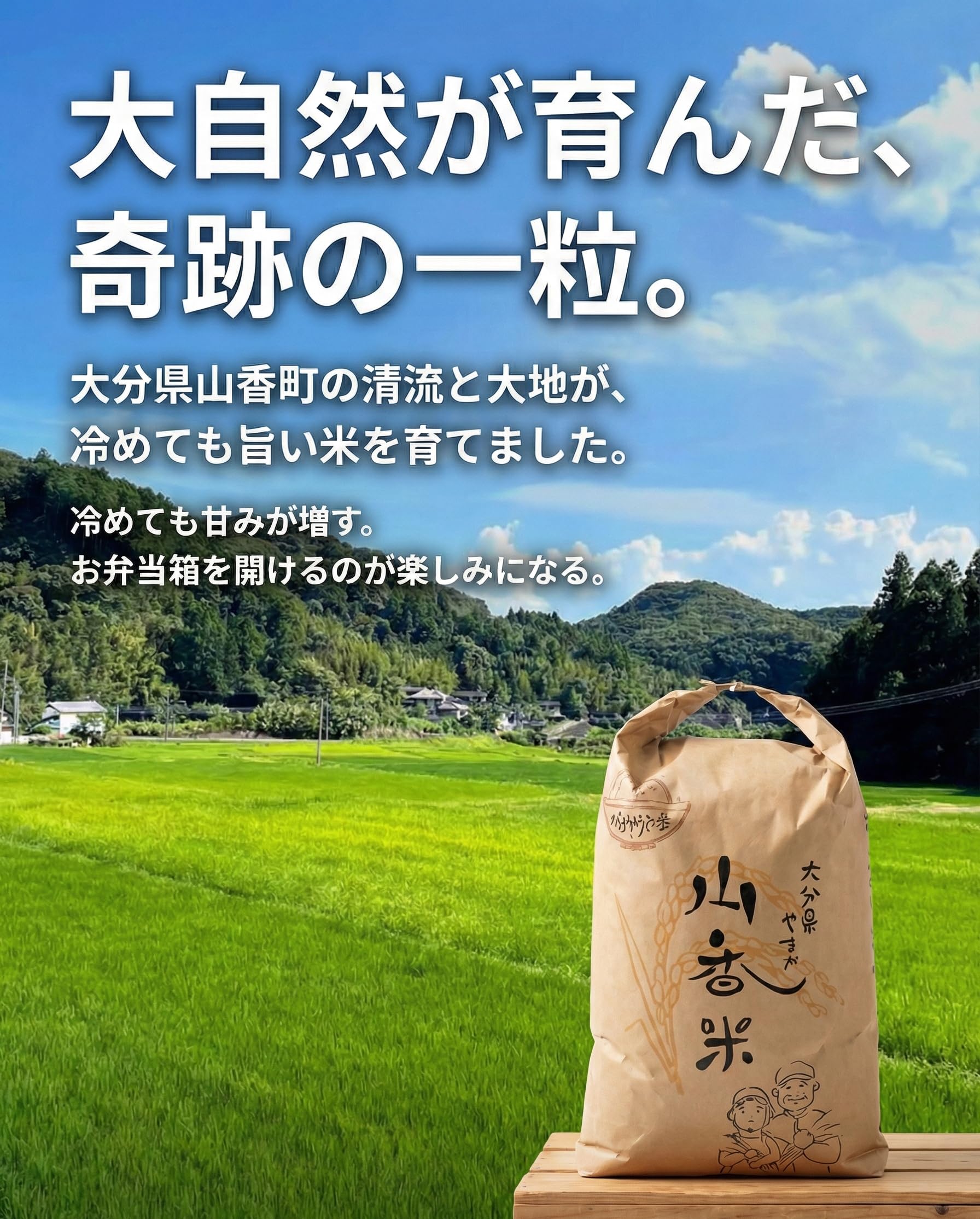 Amazon.co.jp: 大分県産 山香米 ひのひかり 2kg 精米 令和7年産 減農薬