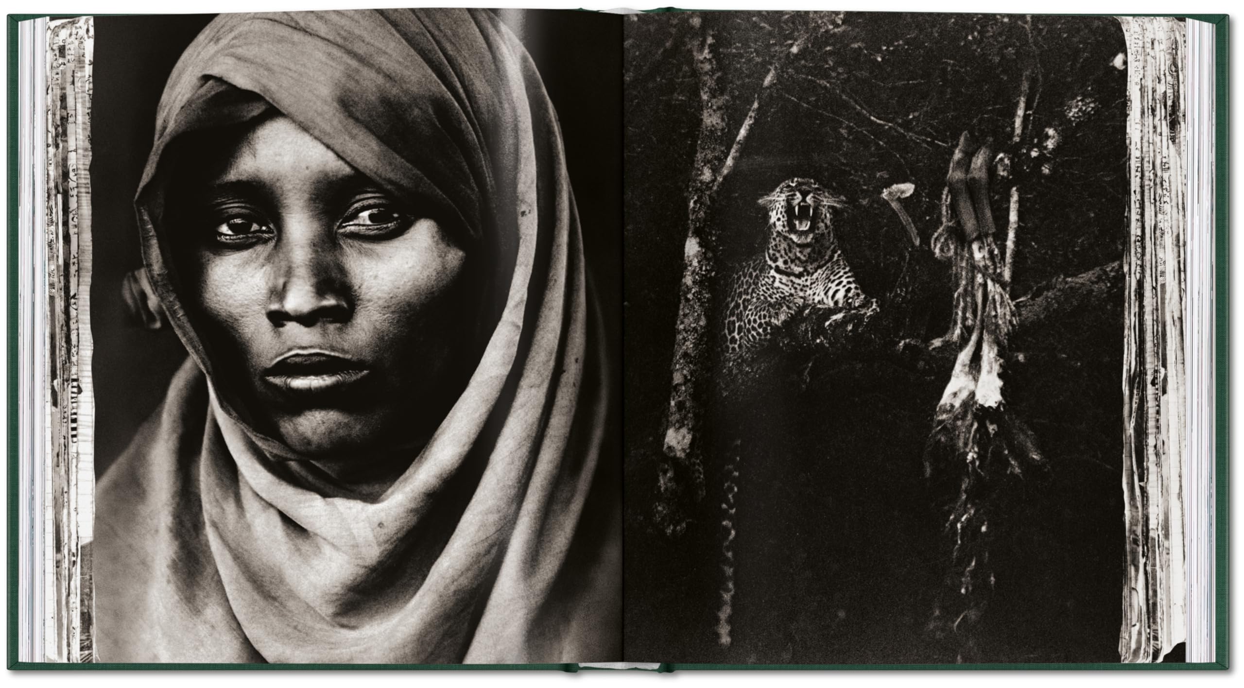 Peter Beard: The End of the Game