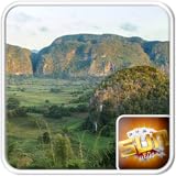 Do Your Best With Wallpaper A