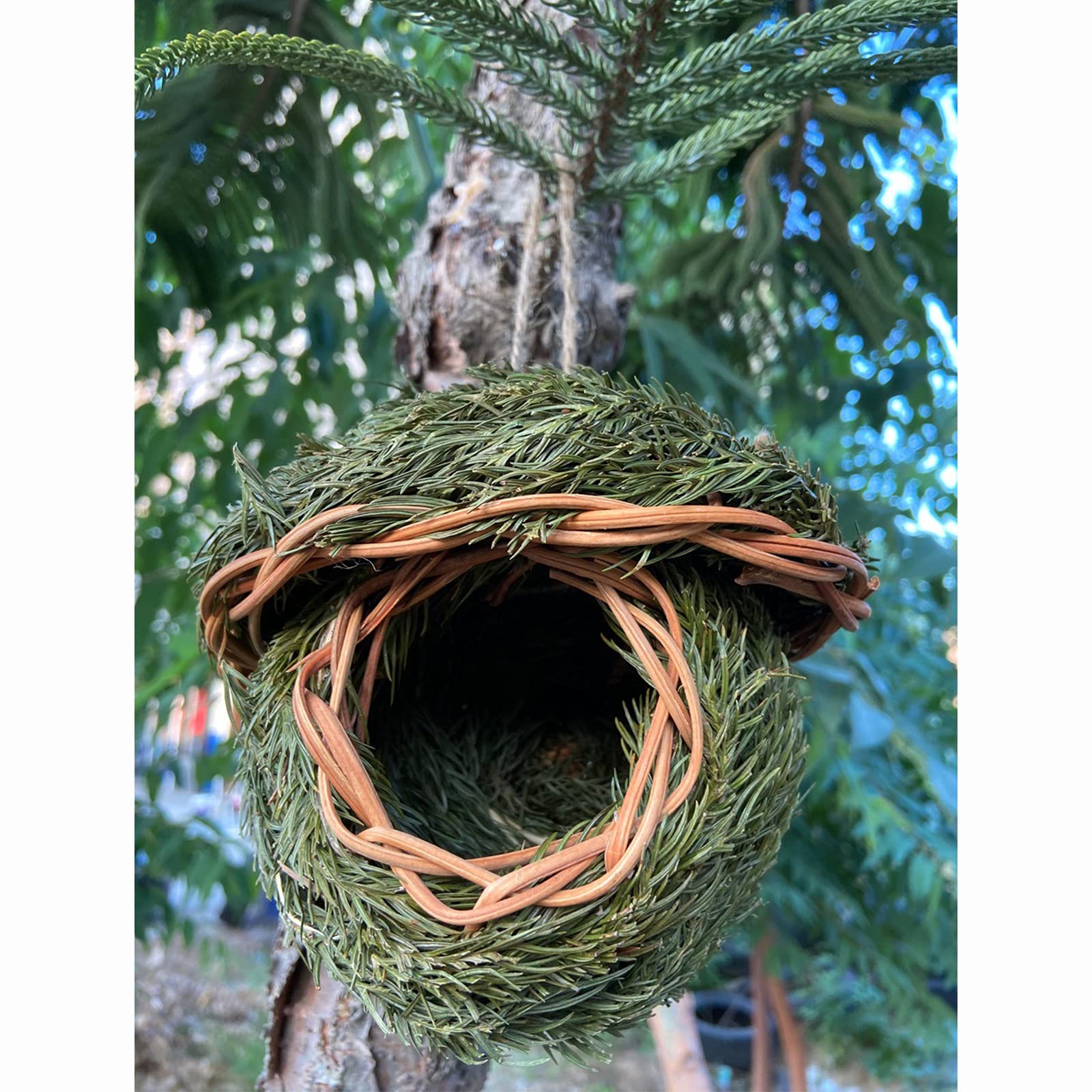 Nichoir Tissé Main En Herbe Naturelle 14x15 Cm - Refuge Écologique Pour Petits Oiseaux - Suspendable Jardin, Balcon, Fenêtre