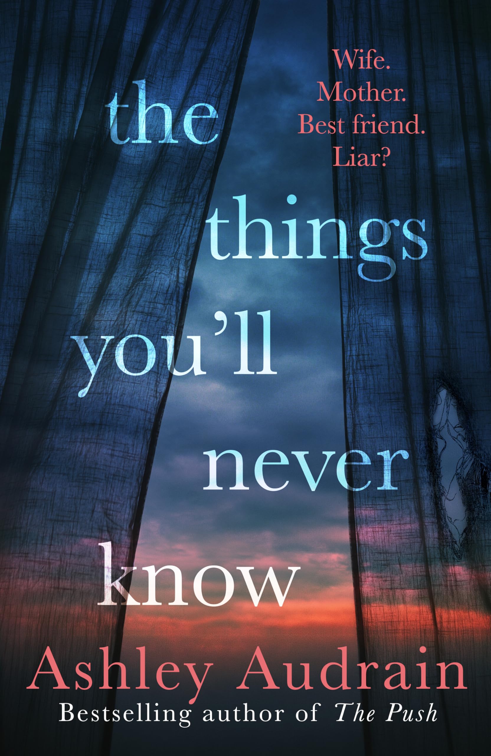The Things You’ll Never Know: The daring and explosive new novel from the author of international bestsellers The Push and The Whispers