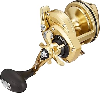 Amazon | シマノ(SHIMANO) 石鯛・鯉リール 両軸遠投リール 15