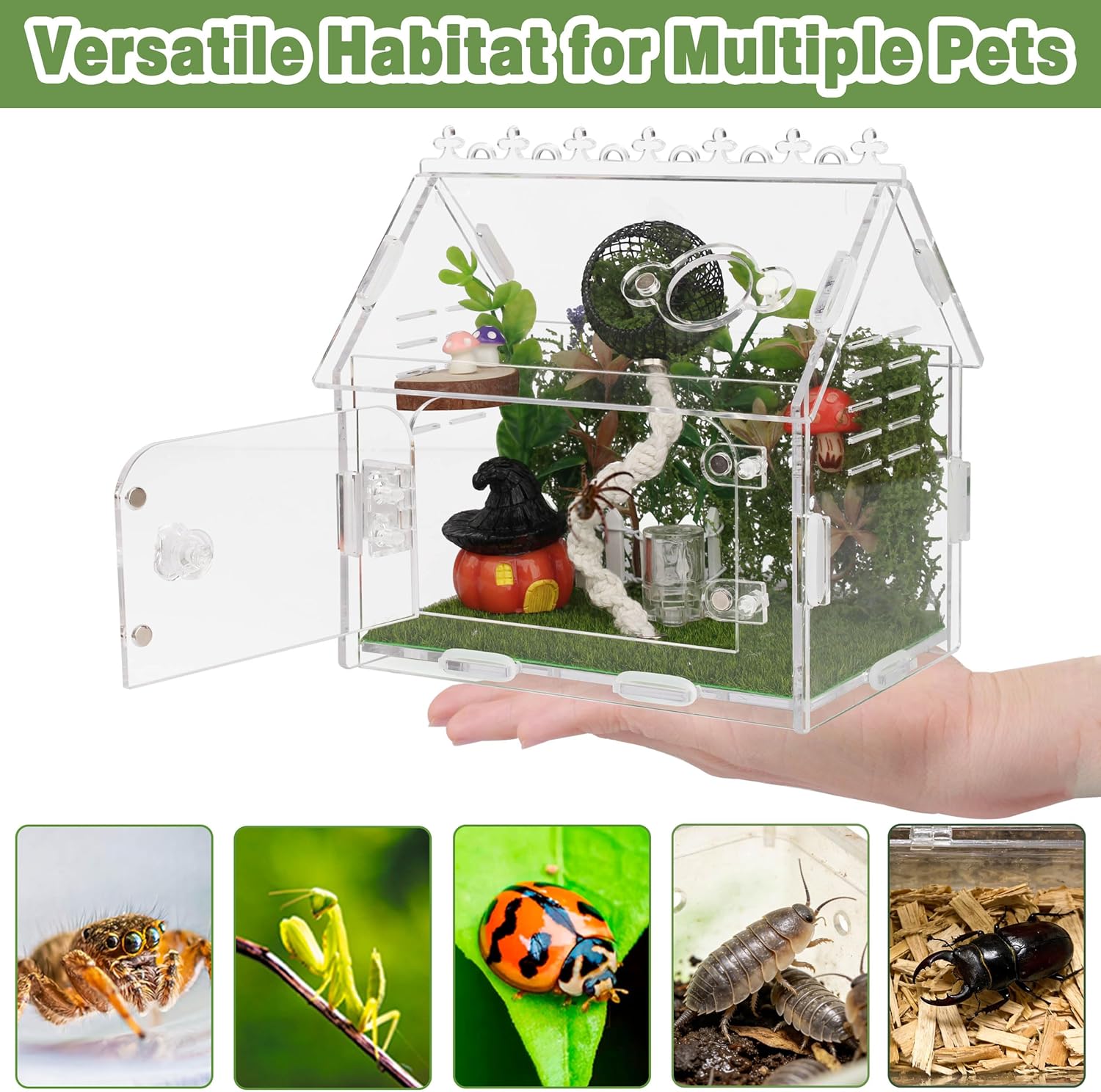 16Pcs Jumping Spider Enclosure Kit, 5.9"x3.9"x5.1" Arboreal Tarantula Habitat with Magnetic Lock & Decor, Acrylic Terrarium Complete Starter Kit for Small Spider, Praying Mantis, Reptile, Insect Cage