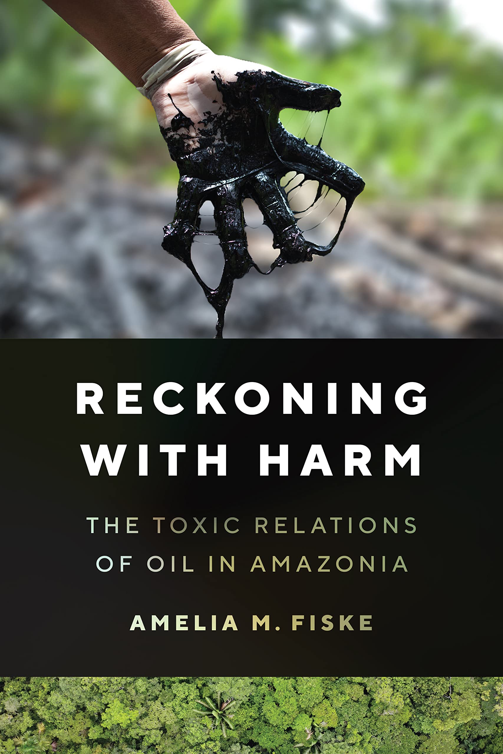 Reckoning with Harm: The Toxic Relations of Oil in Amazonia Paperback – Import, 17 October 2023
