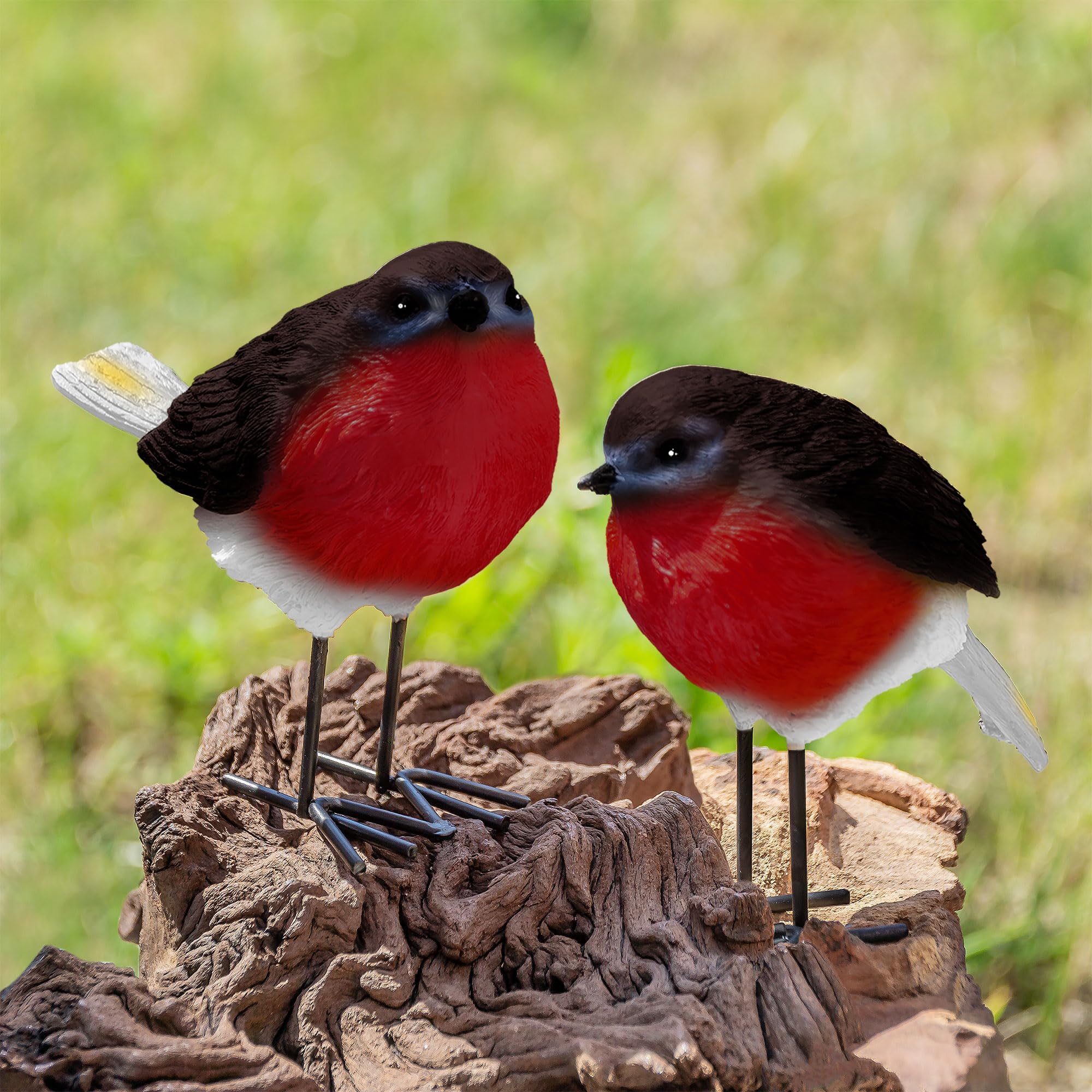 GloBrite Set of 2 Robin Garden Ornaments โ Outdoor Resin Bird Statues for Yard or Patio, Realistic Animal Decor, Christmas or Gardening Gift Idea