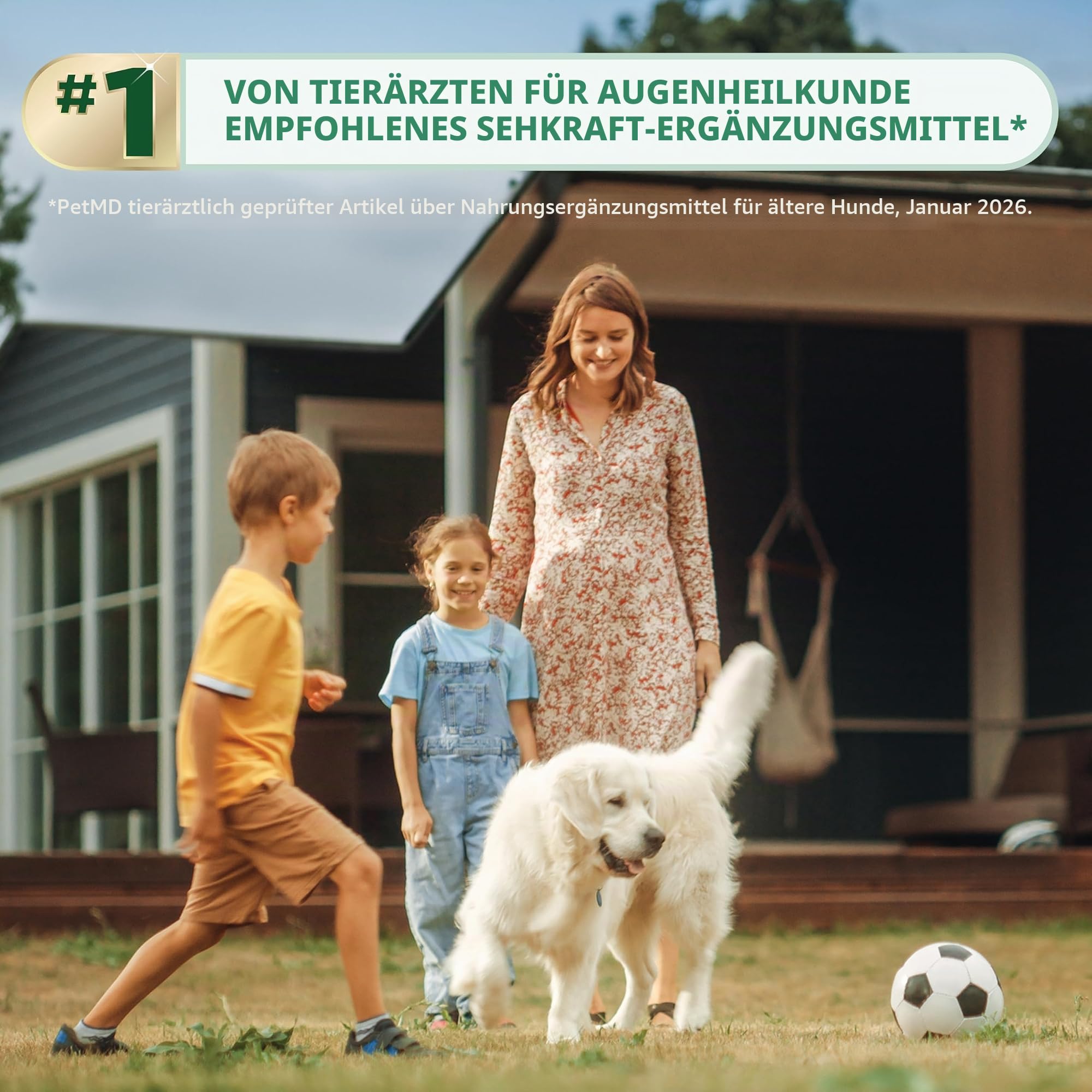 Ocu-GLO Weiche Kauknochen für optimale Sicht, Unterstützung für Hunde und reife Katzen, von Animal Necessity, 60 ct