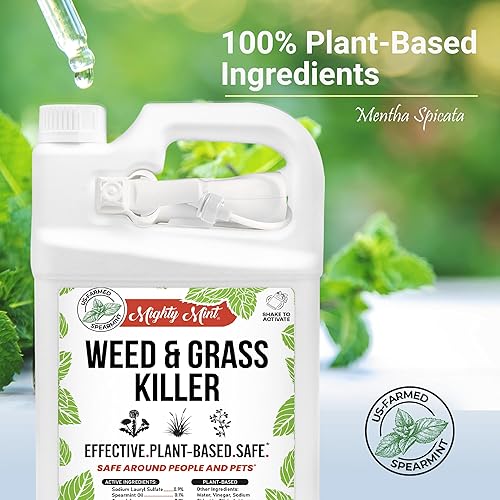 Miniatura 4 de Herbicida y hierba – Vinagre natural y sal – 1 galón – Sin glifosato