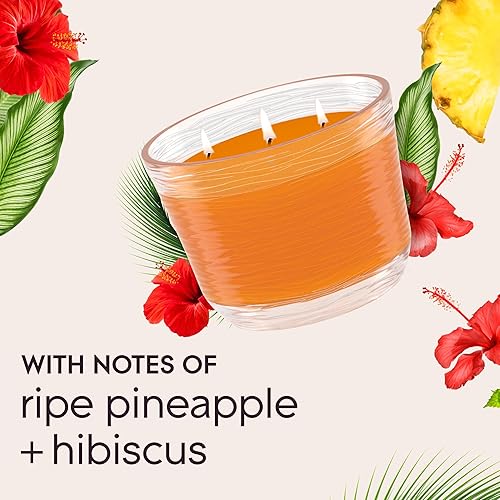 Miniatura 7 de Glade Hawaiian Breeze - Vela ambientadora de 3 mechas, infundida con aceites esenciales, 6.8 onzas, 3 unidades