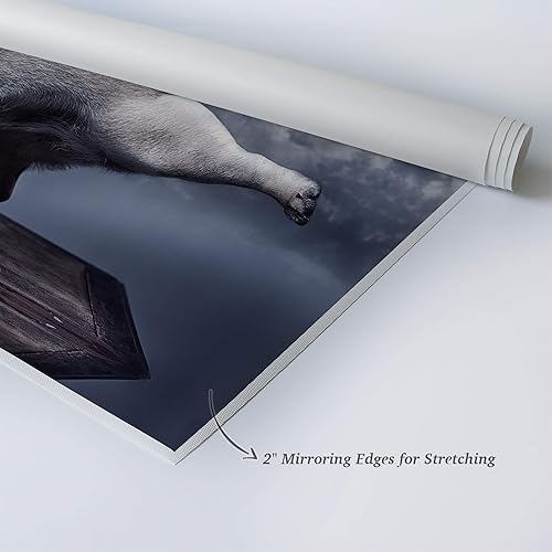 Vista 134 de Smile Art Design Border Collie Bulldog Rottweiler Cachorro Persa Gatito Animal Lienzo Impresión Arte de Pared Pet Cat Dog Lover Sala Dormitorio