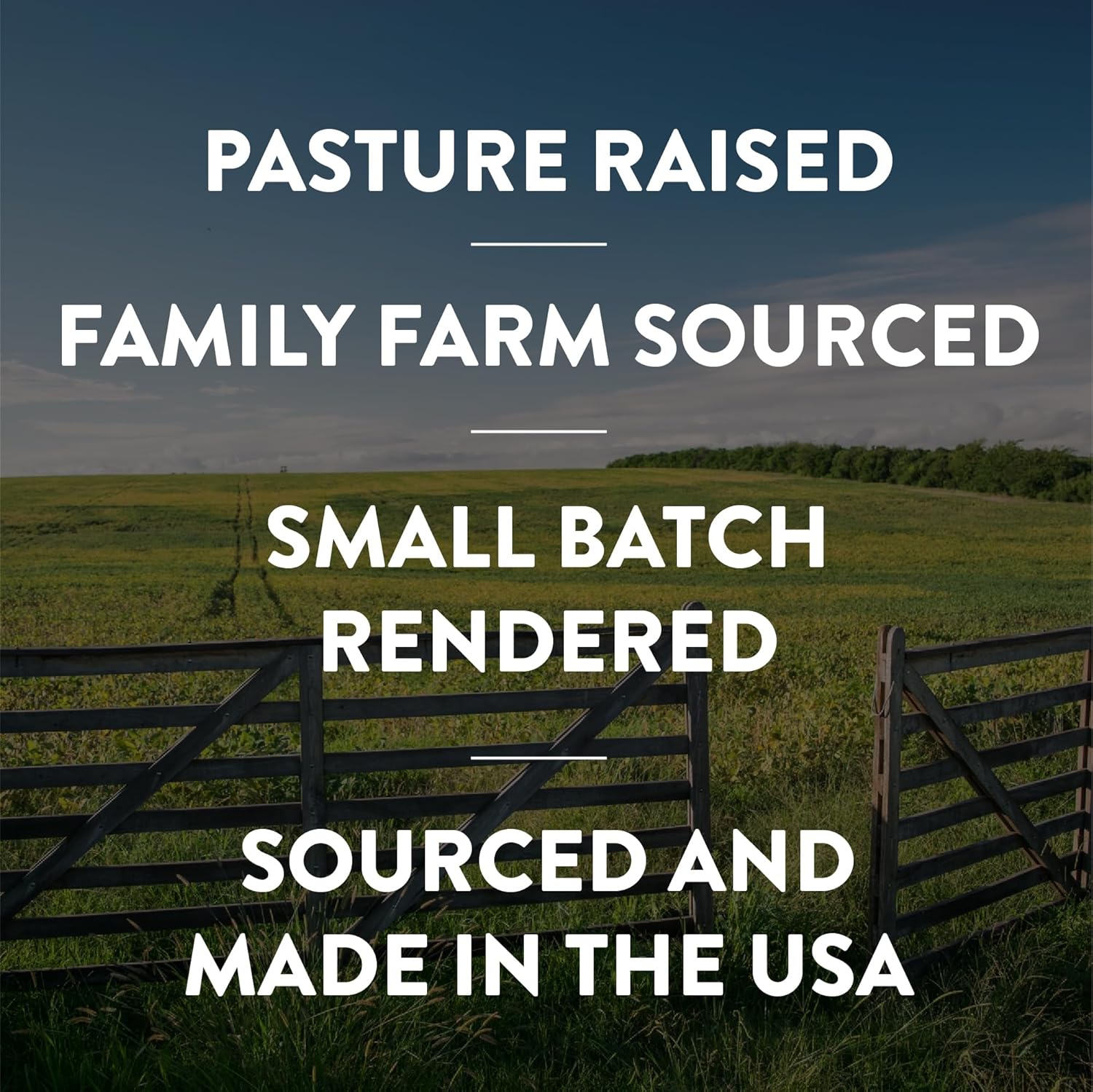 Fatworks Premium Pasture Raised Lard. The Original Non-Hydrogenated Pasture-Raised Lard crafted for Traditional, Keto, and Paleo Chefs. Artisanally Rendered, WHOLE30 APPROVED, Glass Jar, 14oz.