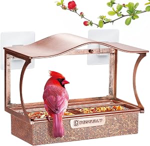 Window Bird Feeder, Desgully Durable Metal Window Bird Feeder, Window Bird Feeders with Strong Suction Cups, Super Adhesive Sheet×4，Large Outdoor Bird Feeder, Bird Watching Gift, Wild Bird Feeder