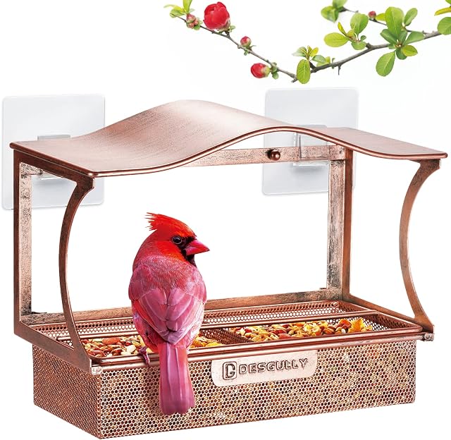 Window Bird Feeder, Desgully Durable Metal Window Bird Feeder, Window Bird Feeders with Strong Suction Cups, Super Adhesive Sheet×4,Large Outdoor Bird Feeder, Bird Watching Gift, Wild Bird Feeder