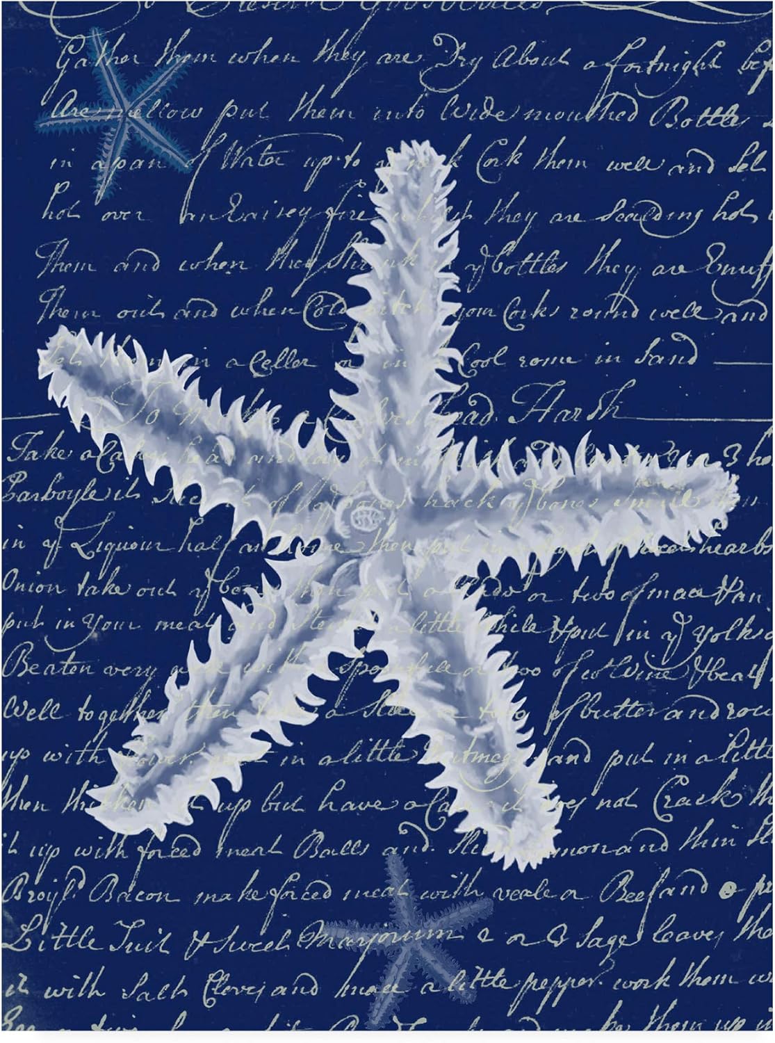 Amazon Com Fab Funky Estrella De Mar Blanca En Azul B Home Kitchen