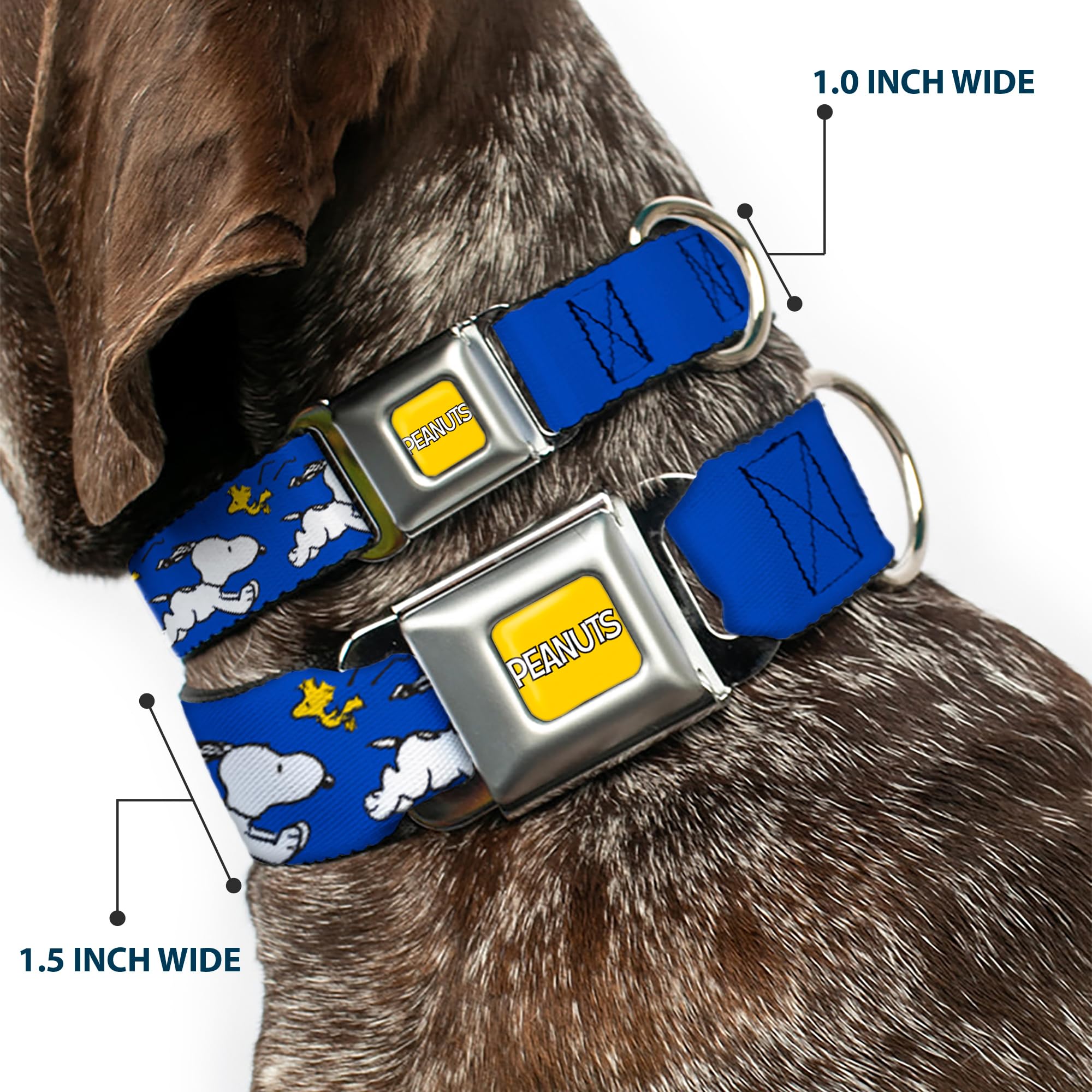 Peanuts Worldwide LLC Hundehalsband, Metall-Sicherheitsgurtschnalle, Peanuts, Snoopy Running und Woodstock Pose, Blau, 40,6 bis 58,9 cm, 3,8 cm breit