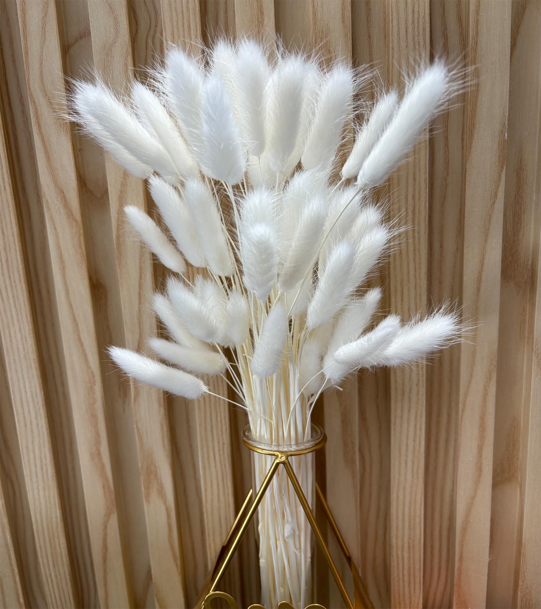 120 Stems Bunny Tails White Pampas Grass Decor,40cm Rabbit Tails Dried Flowers Bouquet ,Lagurus Ovatus Dried Grass Bouquet for Boho Wedding Garden Decor Table Decoration Bedroom Decor