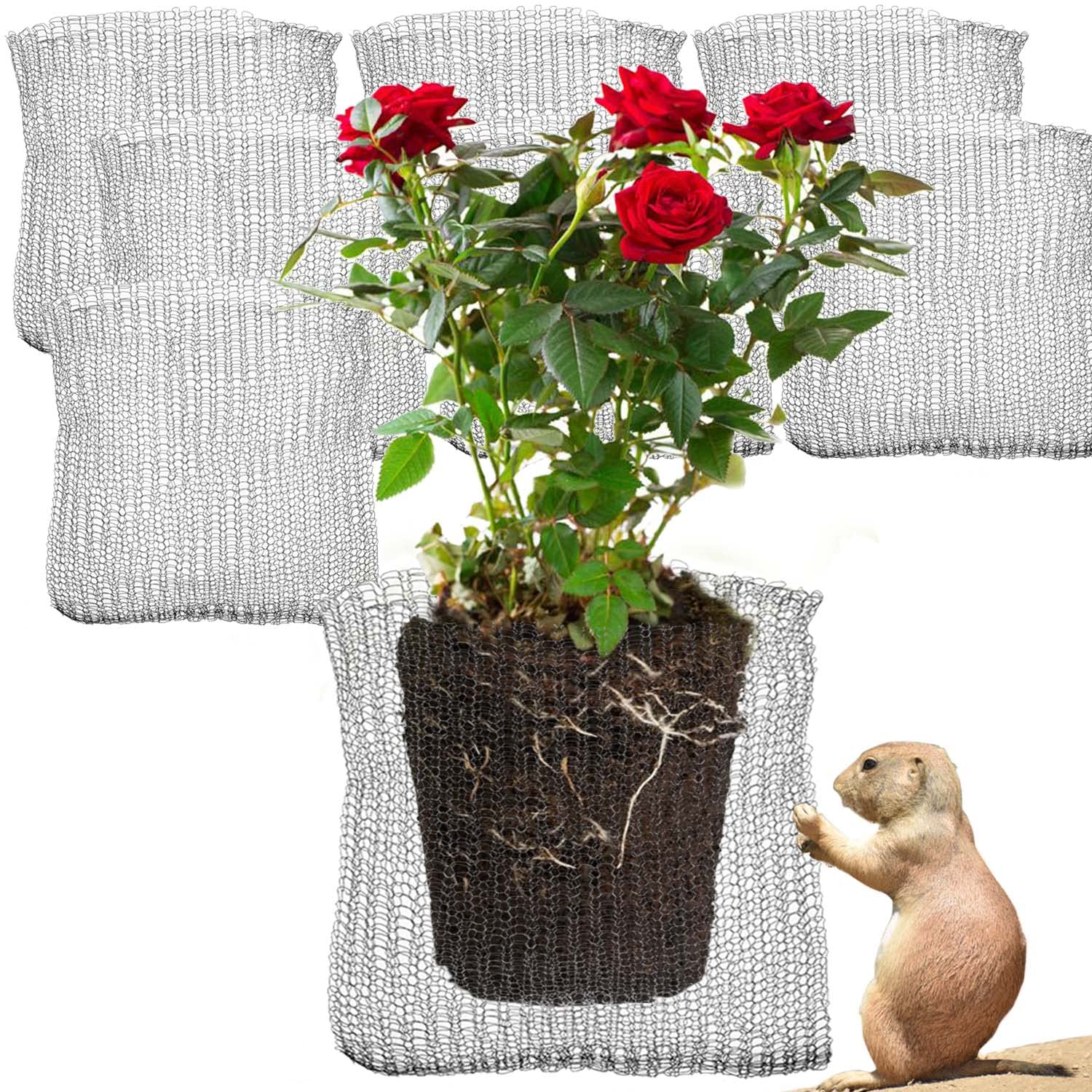 GIFTEXPRESS 8 Pcs 5 Gallon Gopher and Vole Wire Speed Baskets, Plant Root Protector Gopher Baskets for Root Guard, Pests Repellent, Anti Gopher Baskets