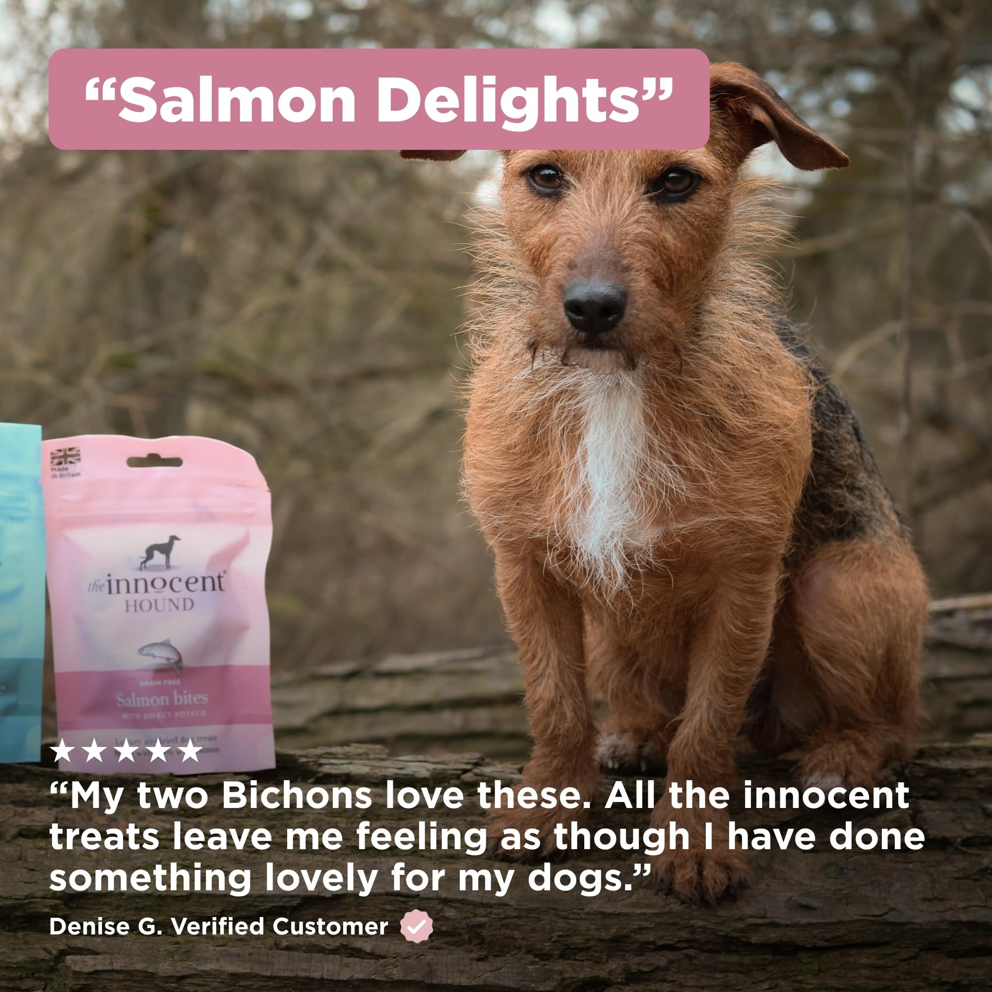 The Innocent Hound - Snacks para perros (Talla Única) (Salmón/Batata)