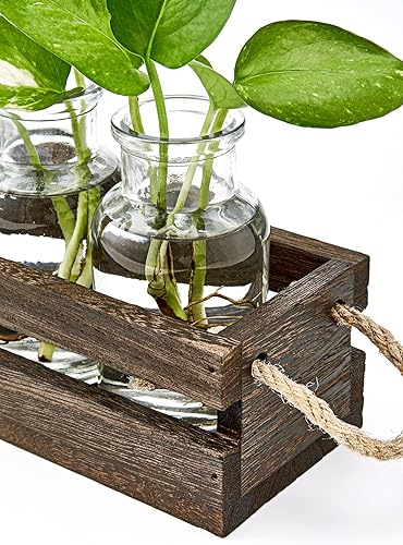 Miniatura 4 de Mkono Estaciones de propagación de plantas de escritorio, macetas de vidrio para plantas hidropónicas, centro de mesa, decoración de interiores,