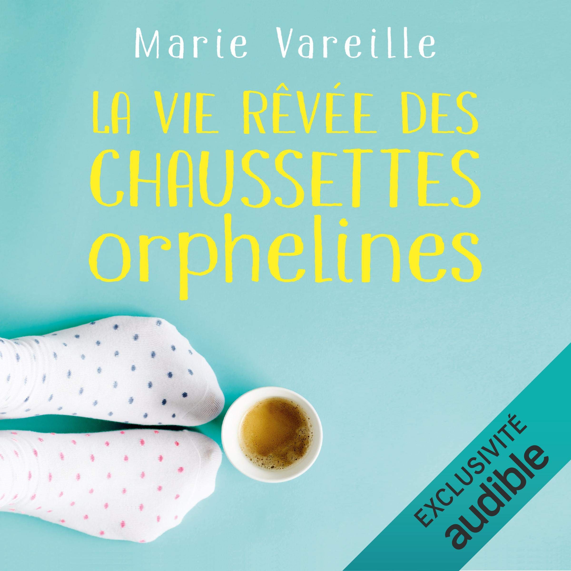 Cover art for La vie rêvée des chaussettes orphelines