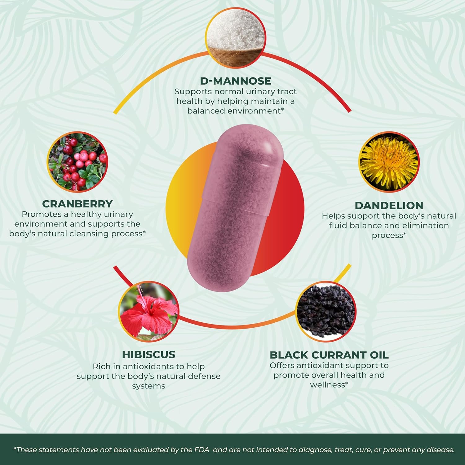 PurePremium D-Mannose with Cranberry, Hibiscus & Dandelion - 1000mg D-Mannose Supplements for Women Supports Urinary Tract Health & Bladder Health - Made in USA, Vegan, 120 Capsules, 2 Month Supply - Image 3