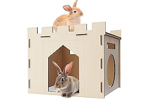 Sturdy Rabbit Hidey Houses for Ultimate Pet Comfort and Entertainment