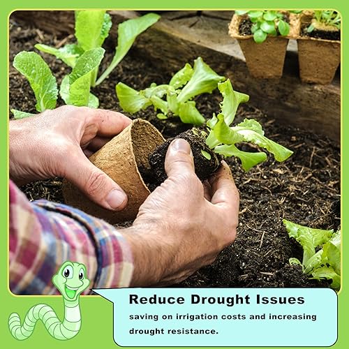 Miniatura 6 de Doter, fertilizante orgánico de 2.2 libras de Worm Castings para jardinería, tomate, fresa, flor y hierbas