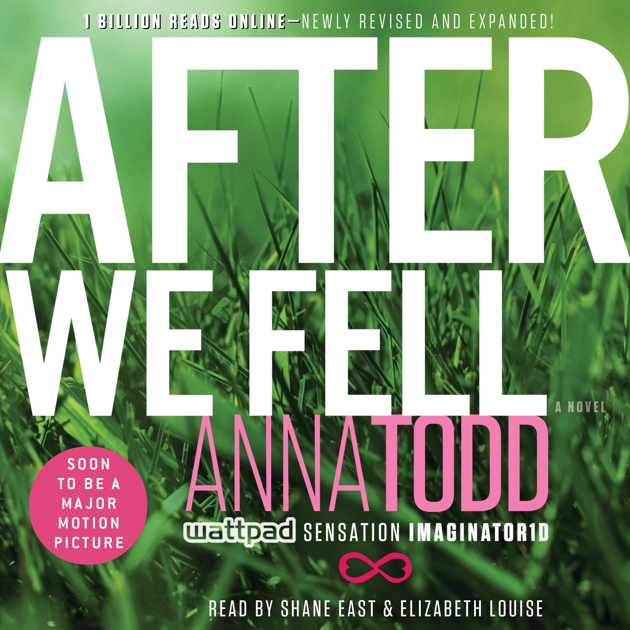 Cover art for After We Fell