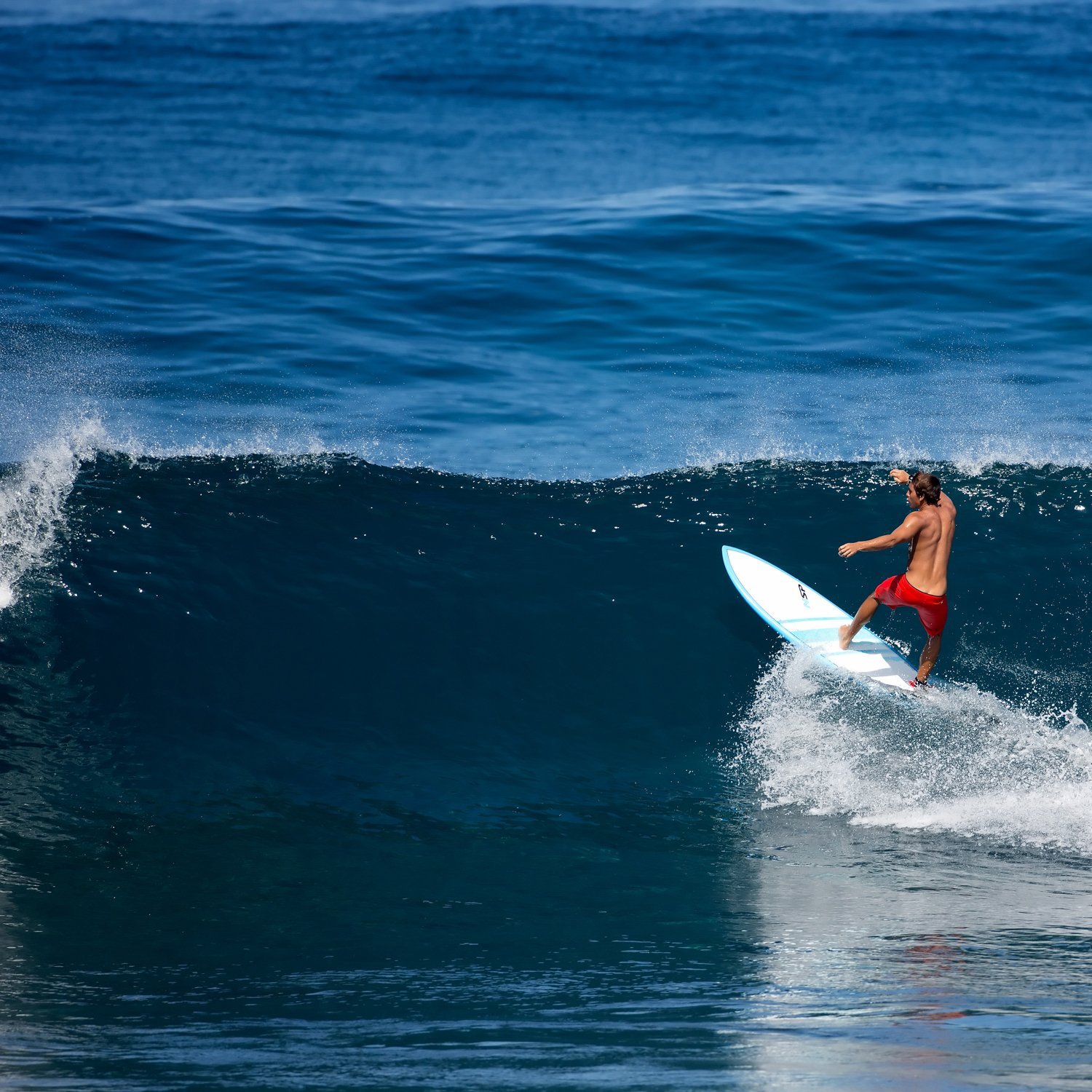 Amazon | NSP 2016 SURFBOARD Elements FISH 6'4
