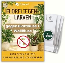 Florfliegenlarven gegen Blattläuse & Wollläuse - 5 Tüten | für 5-10 Pflanzen - zum einfachen Aufhängen - starke Biologische Schädlingsbekämpfung bei Zimmerpflanzen & Zierpflanzen