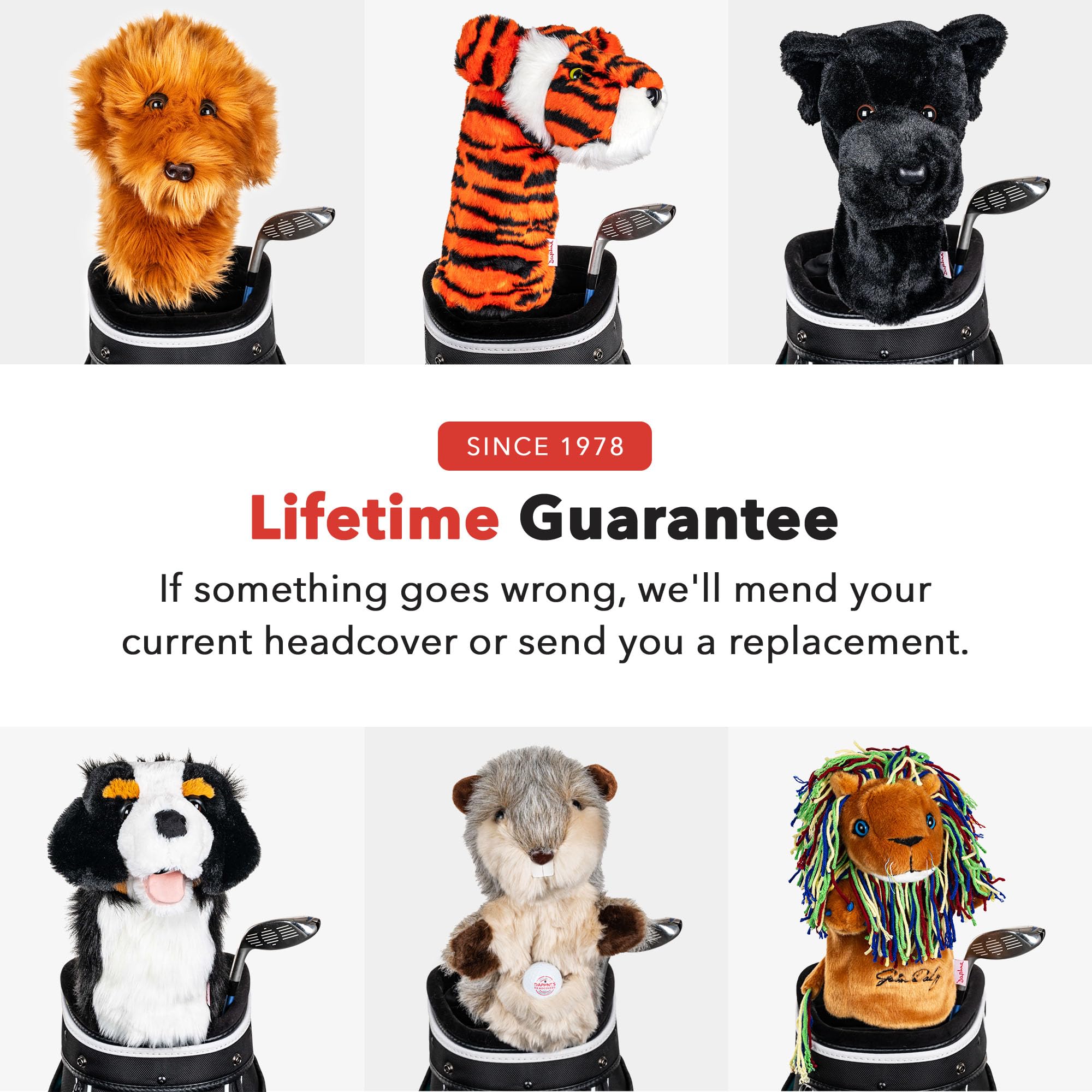 Daphne's Berner Sennenhund Headcover