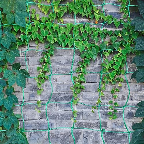 Miniatura 8 de Enrejado de jardín para plantas trepadoras, red de enrejado de pepino vegetal resistente para plantas trepadoras, enrejado de guisantes verdes para