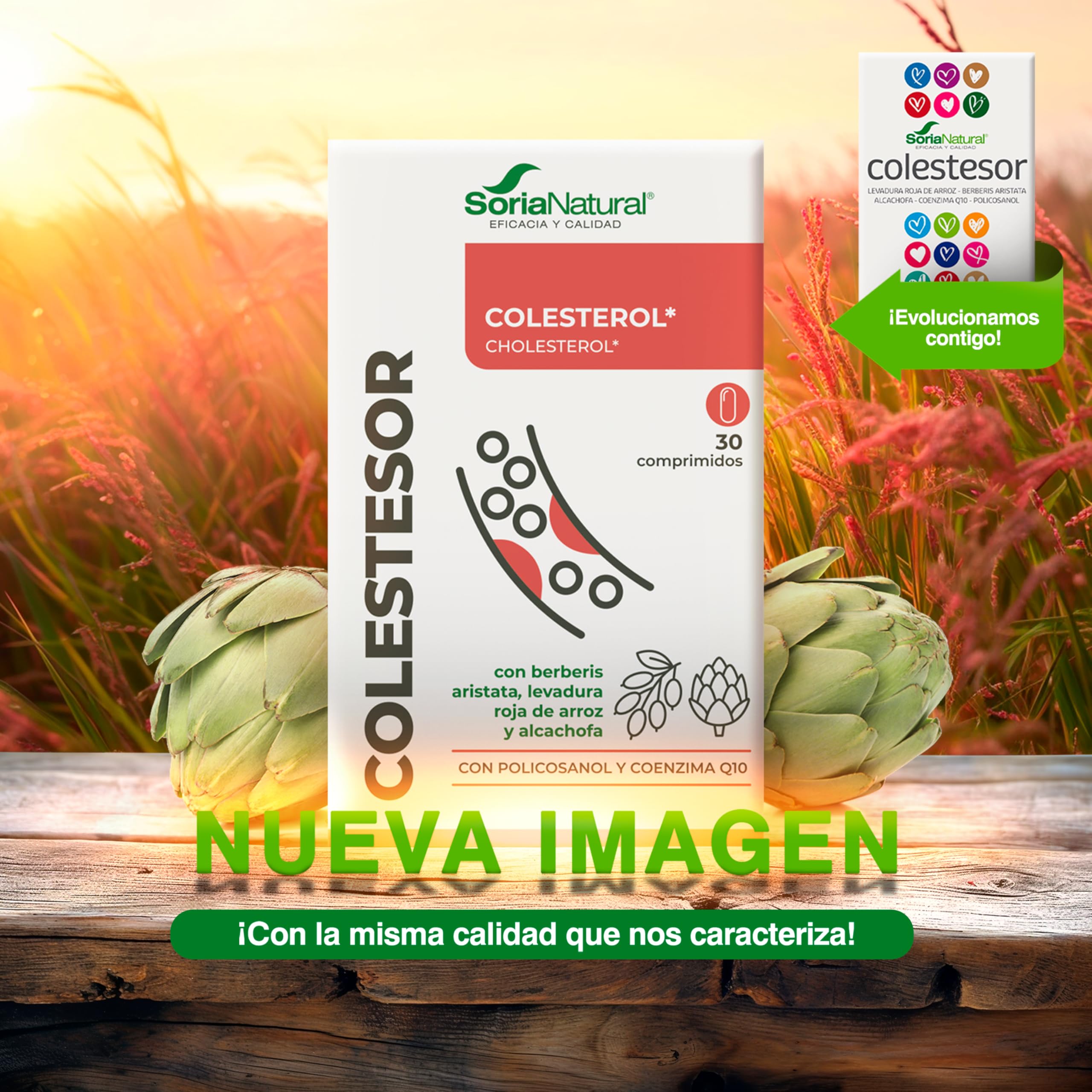 Soria Natural COLESTESOR - Levadura de Arroz Rojo, Berberis, Alcachofa, Coenzima Q10 y Policosanol - Complemento Natural para Controlar Colesterol y Trigliceridos - PACK2