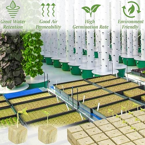 Miniatura 5 de Halatool Cubos de lana de roca de 2 pulgadas para jardín, cubos de cultivo de lana de roca, tapones para cultivo hidropónico, sin suelo, esquejes,