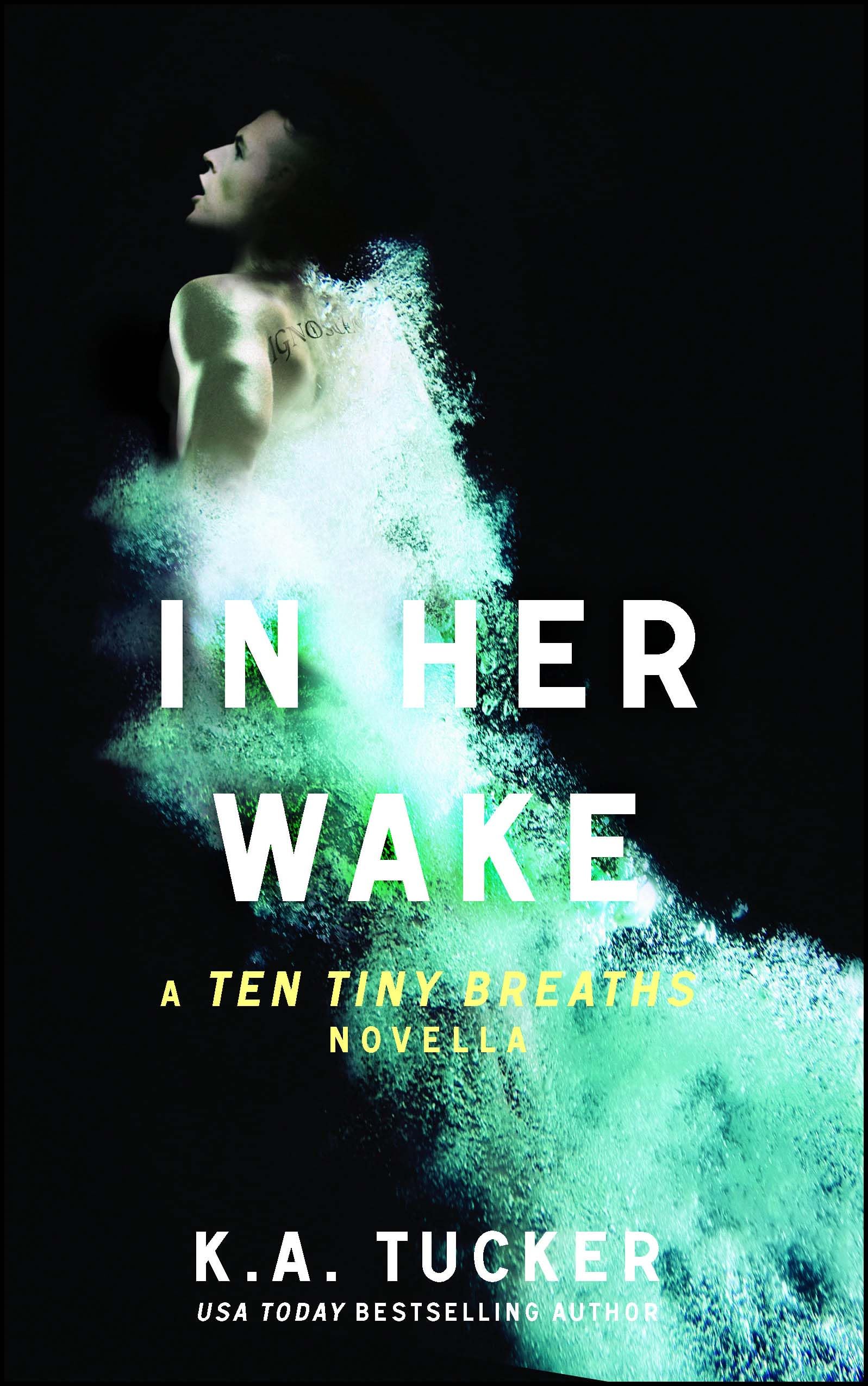In Her Wake: A Ten Tiny Breaths Novella: Volume 2 (The Ten Tiny Breaths Series)