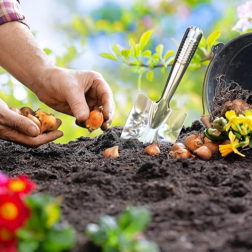Miniatura 3 de Paleta de mano de pala de jardín, herramientas de mano de jardinería de acero inoxidable, pala de pala para plantar, trasplantar, deshierbar, excavar