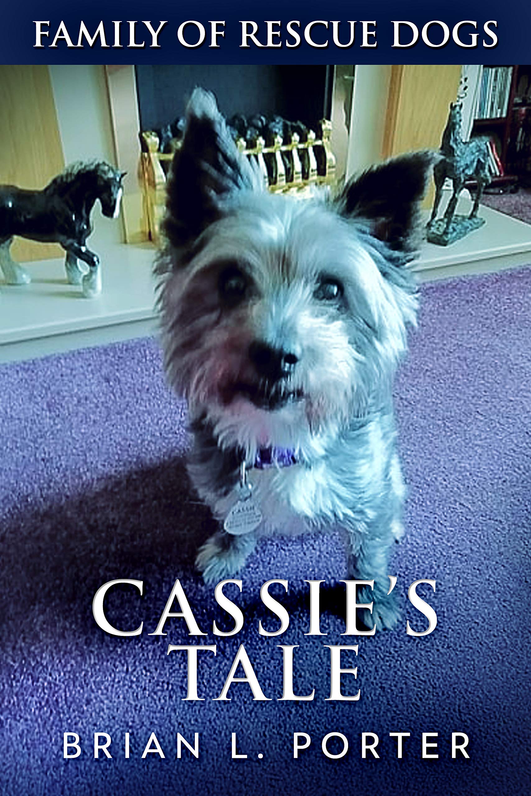 Cassie's Tale (Family Of Rescue Dogs Book 3)