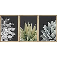 SIGNWIN Framed Canvas Print Wall Art Trio of Echevaria Succulents Floral Plants Photography Modern Art Minimalist Closeup Dramatic Black and White for Living Room, Bedroom, Office - 16
