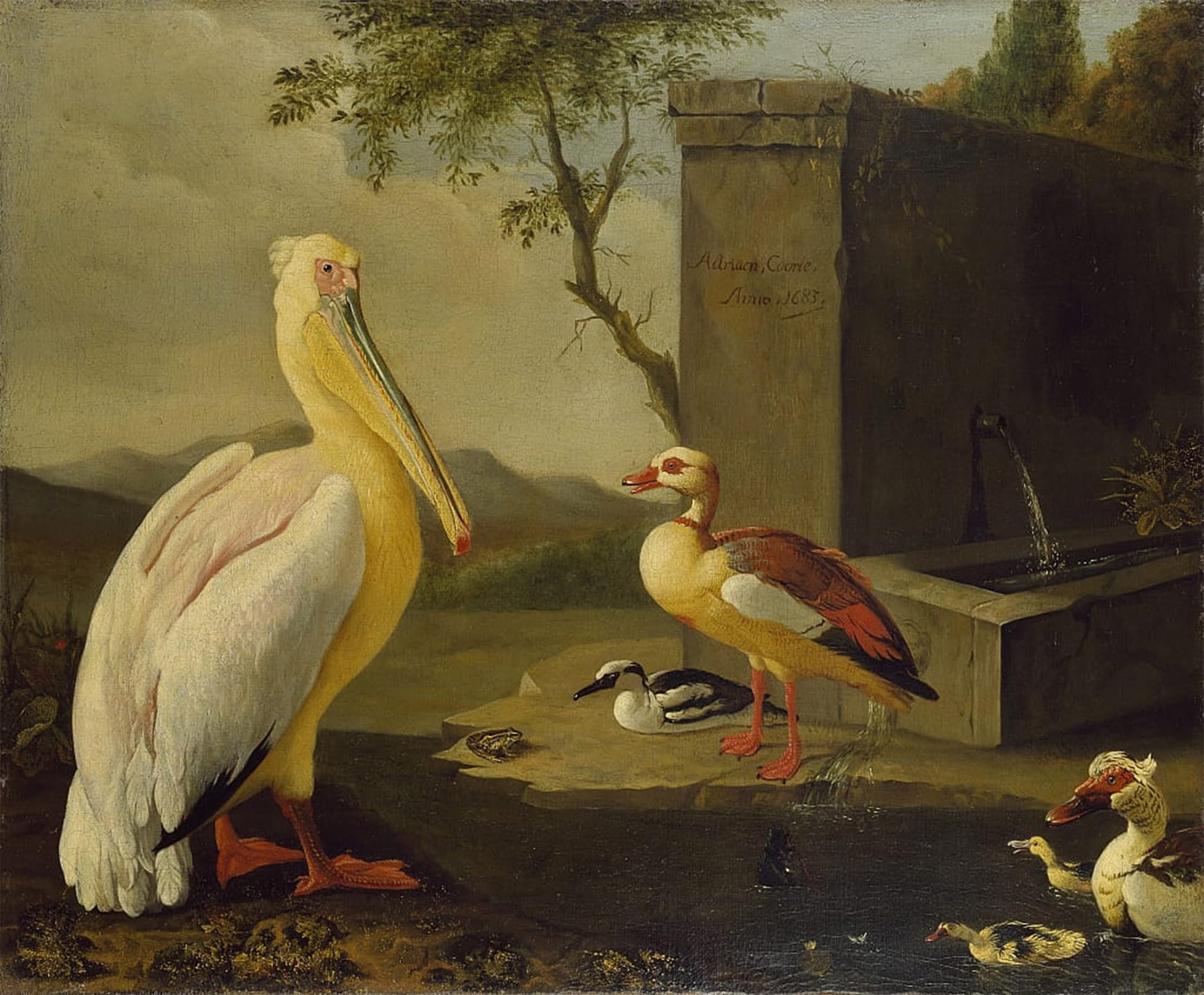 Impression toile Oiseaux d'Orient Adriaen Coorte, affiche murale 60x90cm - 5