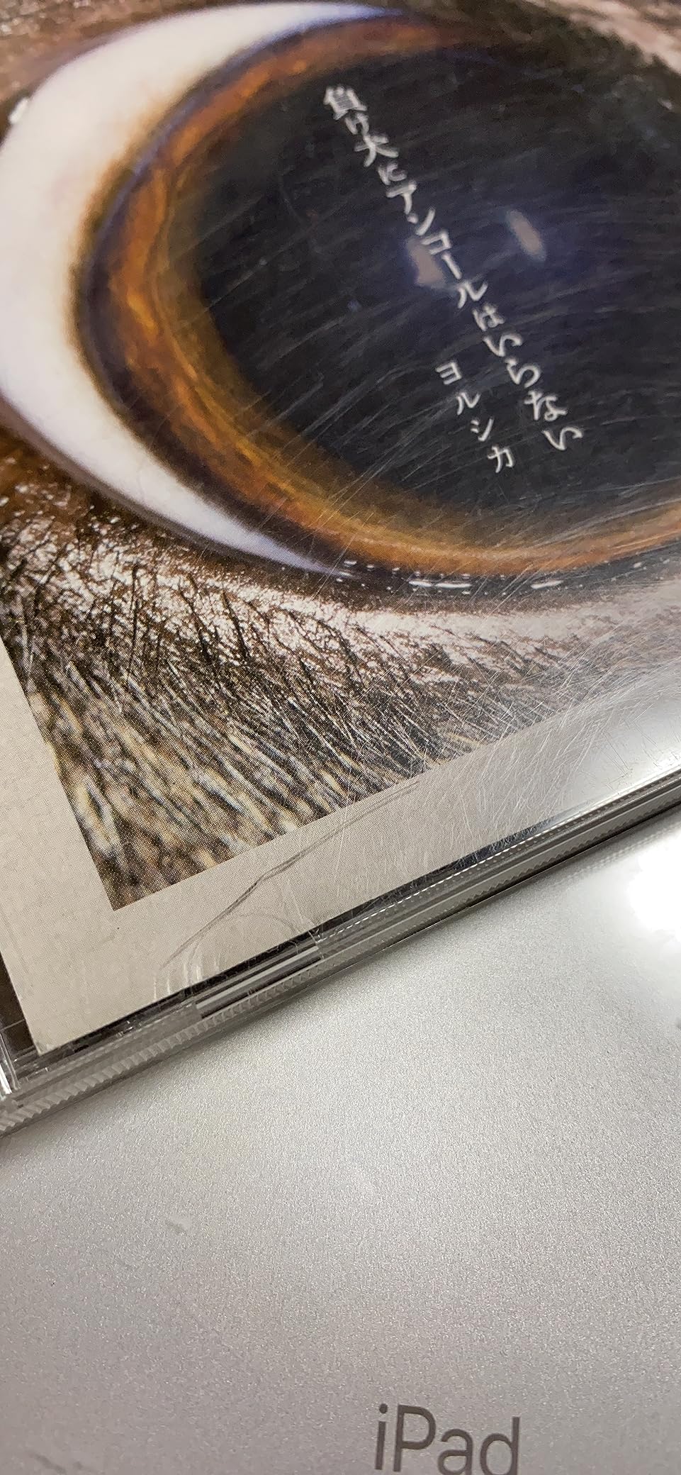 傷、シール跡、割れ、破れ有り