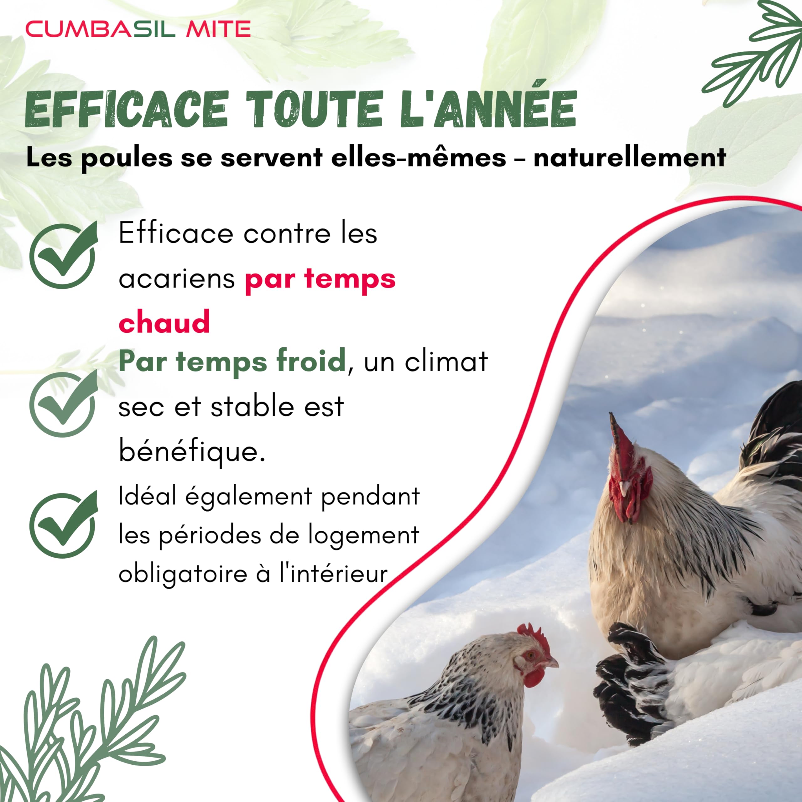 Mite Lot de 3 bains de poussière pour poules, 25 kg, poudre de bain de sable contre les acariens, anti-acariens, protection naturelle contre les acariens, poudre