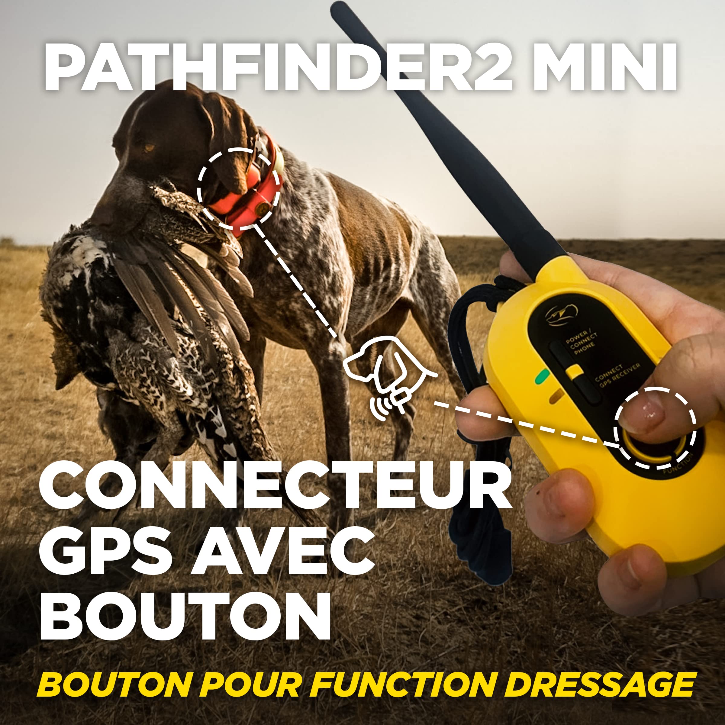 Dogtra Pathfinder 2 Mini Collier de Repérage GPS & Dressage Rechargeable, Lumière LED, Application Gratuite et sans Abonnement, Étanche IPX9K, Fonctions de Dressage, Portée 5 km, Jusqu'à 21 Chien