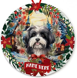 Dinoz Merry Christmas Havanese Dog Lovers Ornament, Stained Glass Santa Tree Decor Hanging Keepsake Gifts Round Circle Ceramic Ornament Personalized Name