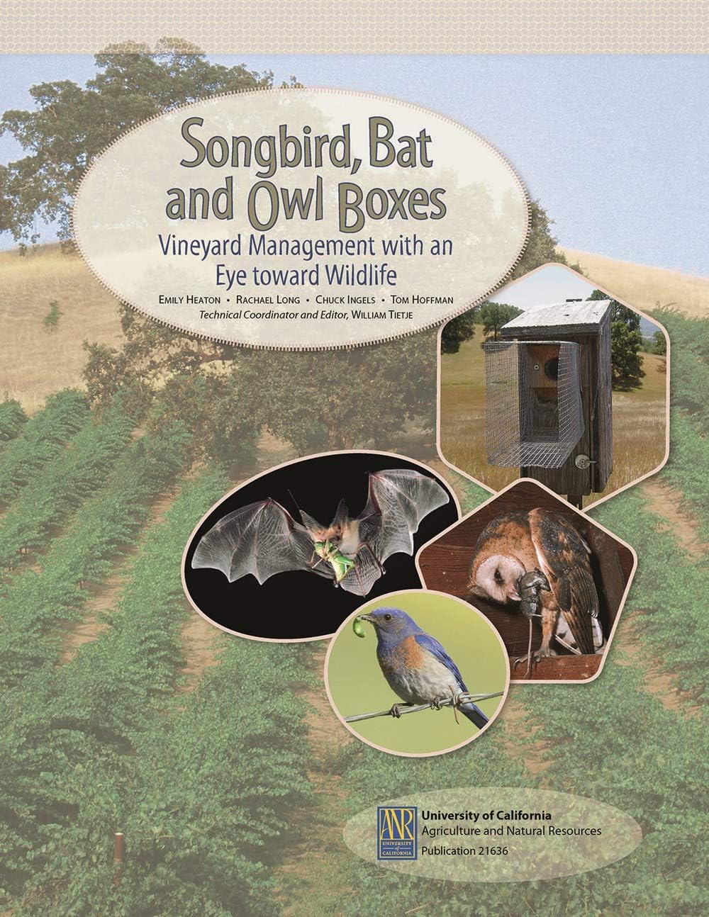 Songbird, Bat, and Owl Boxes