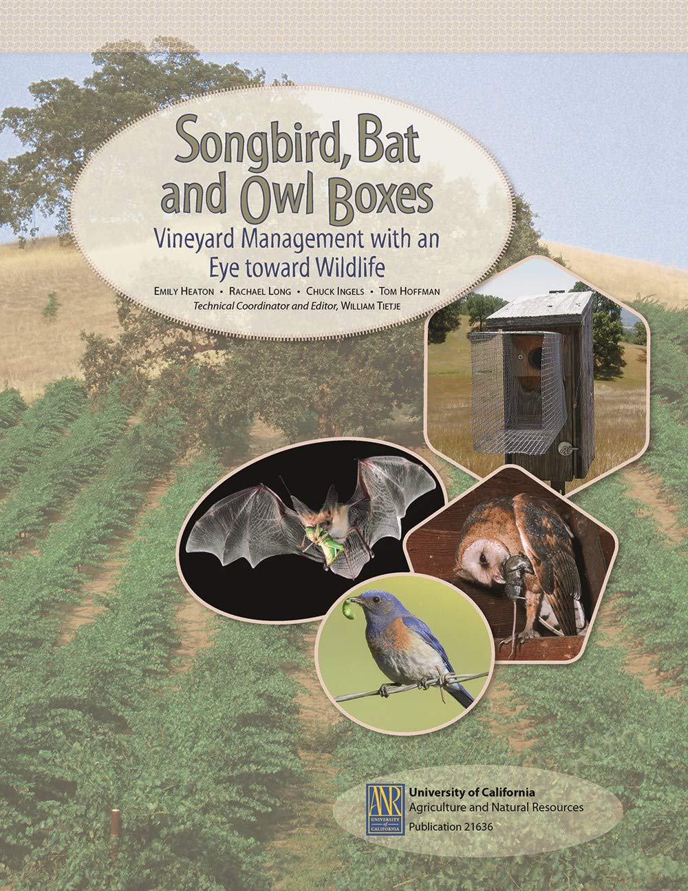 Songbird, Bat, and Owl Boxes