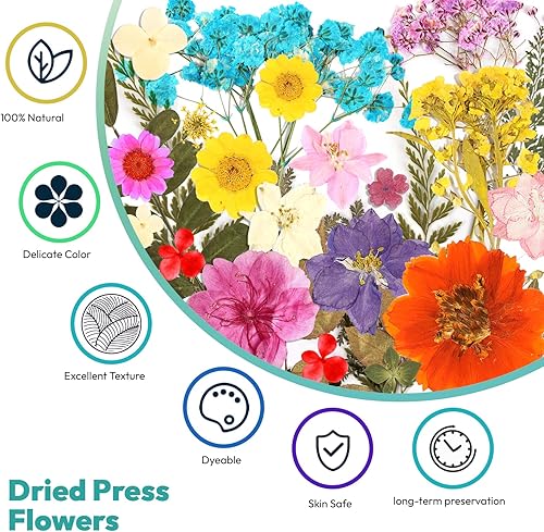 Vista 154 de Resiners - Flores secas, 100 piezas de flores prensadas para manualidades, color amarillo, flores secas naturales, kit de hojas secas